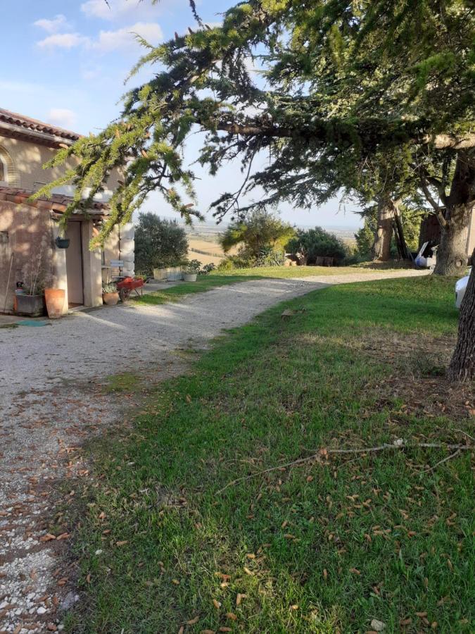 La Bleuette Guest House Montmaur  Exterior photo